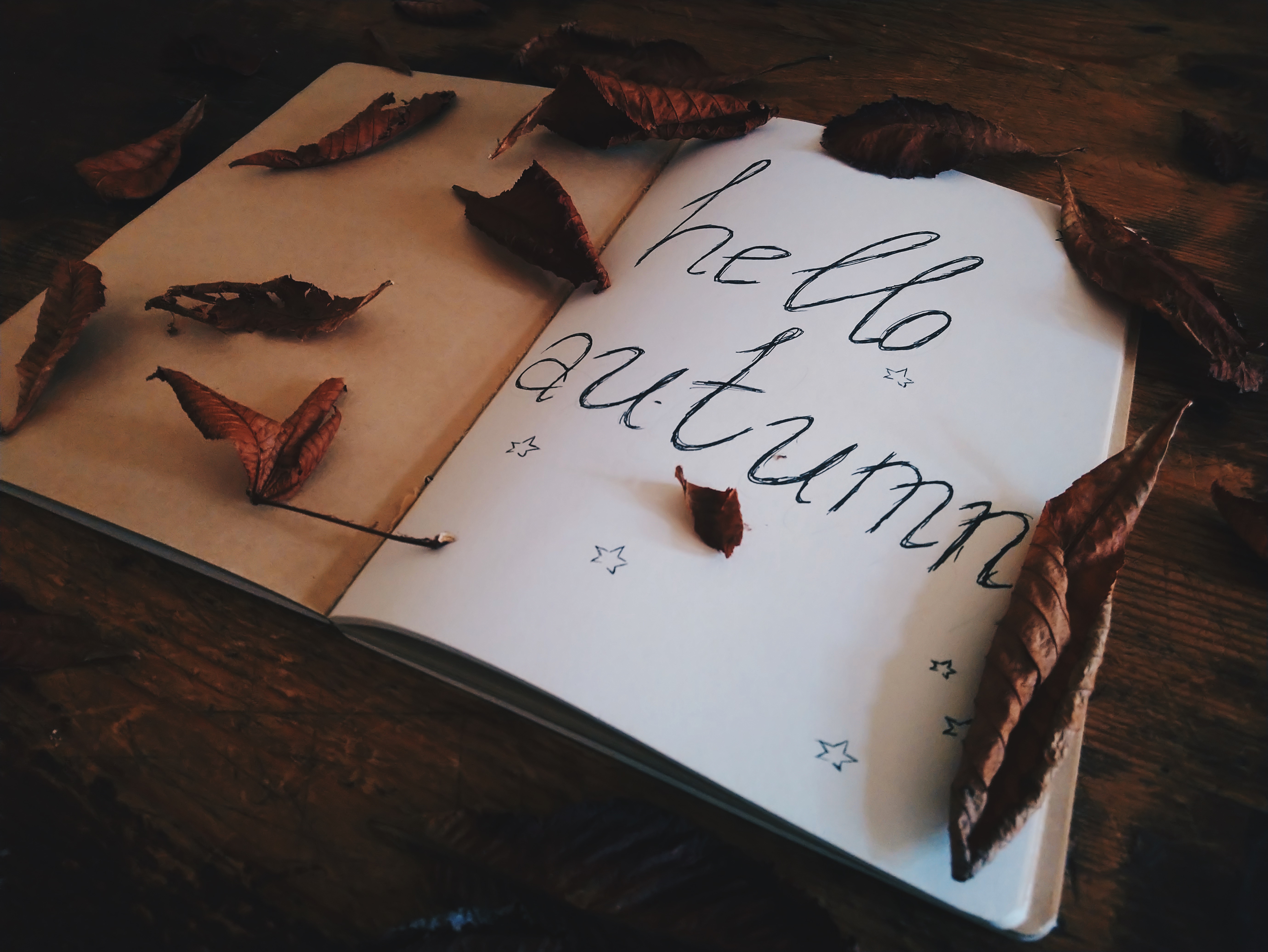 Processed with VSCO with hb2 preset