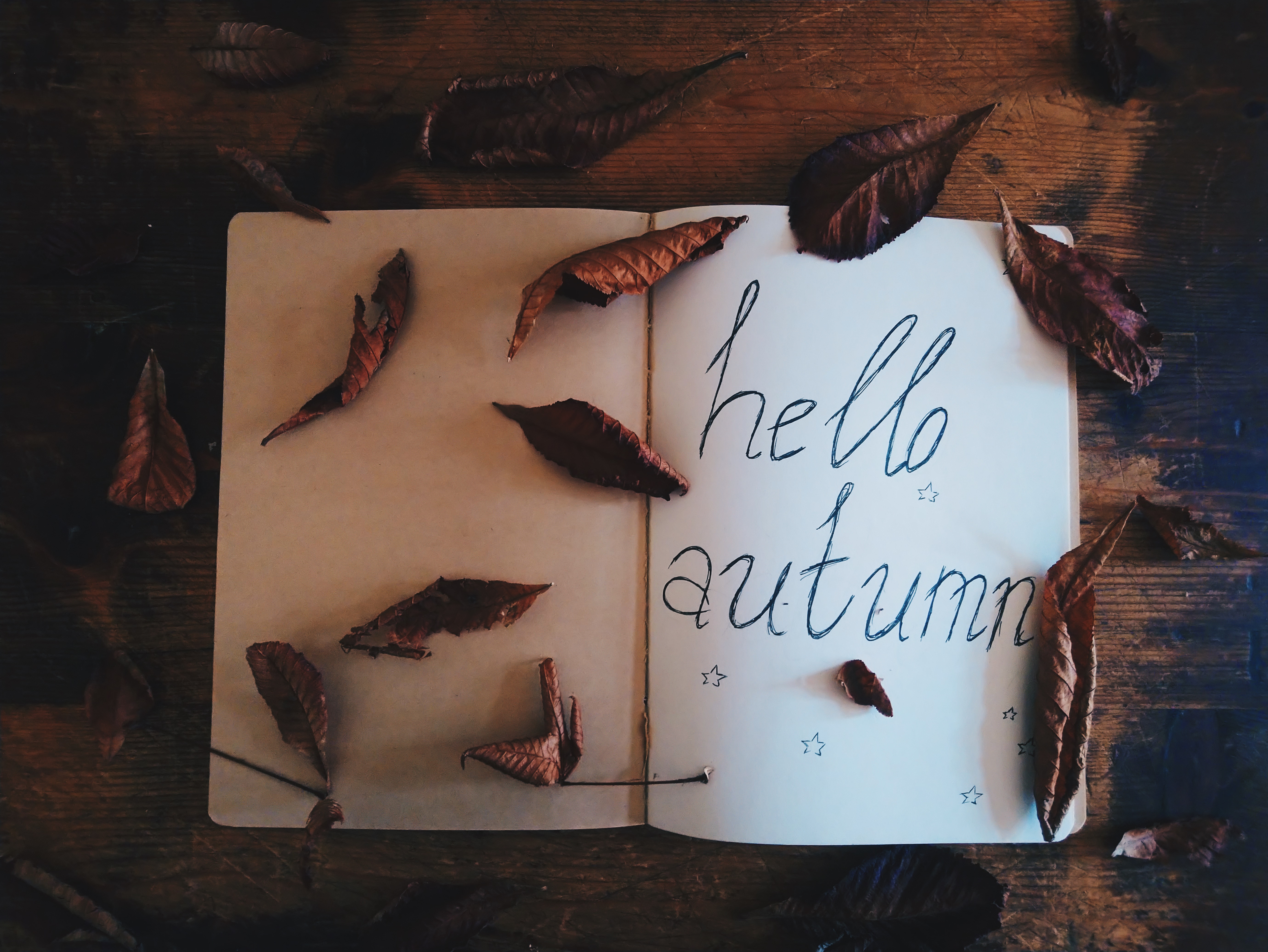 7 причини да чакаме есента с&nbsp;нетърпение