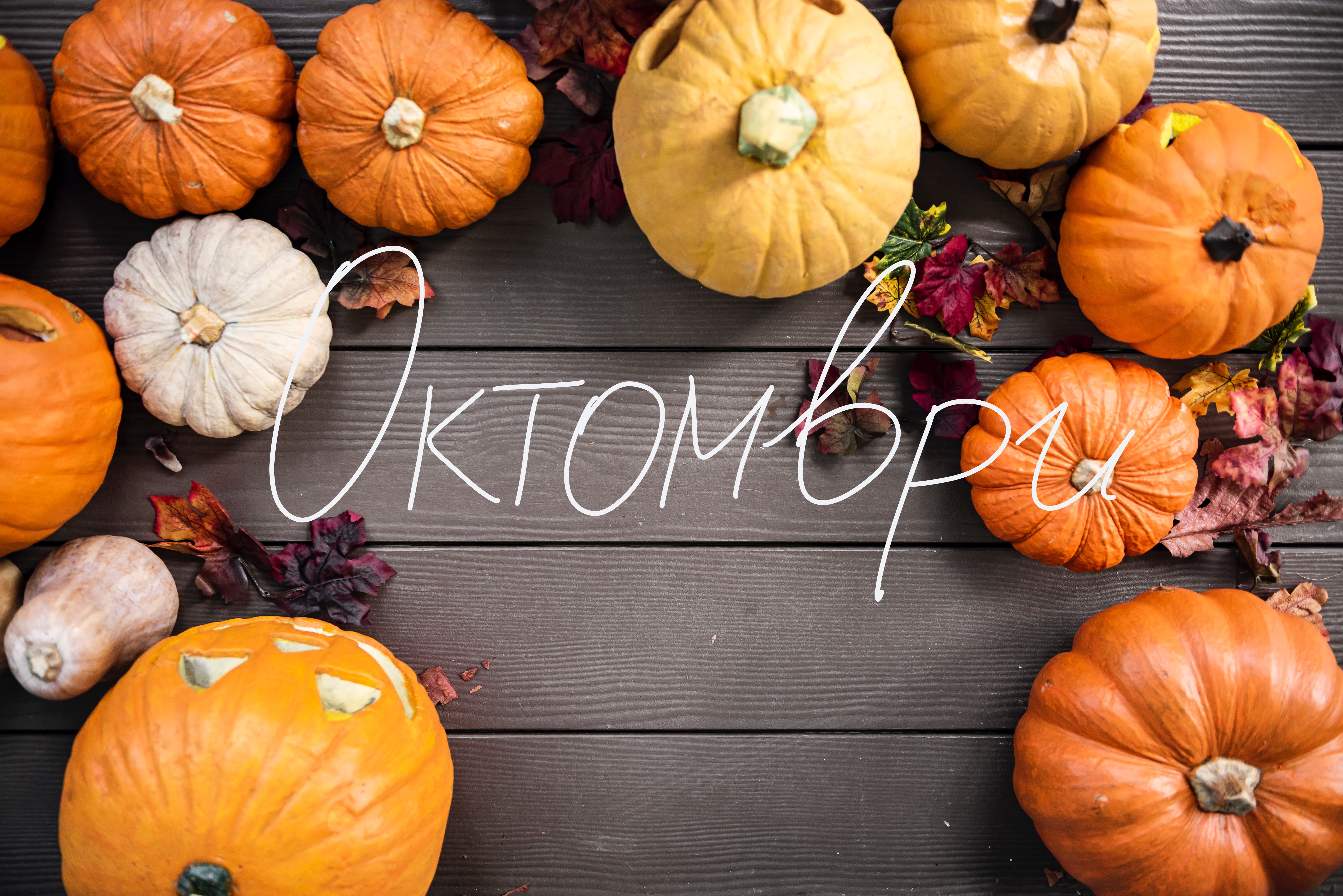 October bucket list: 10 неща, които всеки трябва да направи този&nbsp;октомври