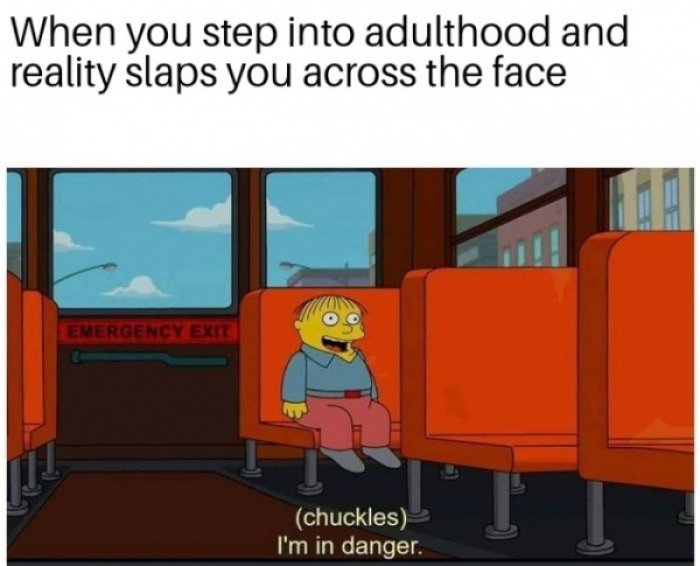 l-9628-when-you-step-into-adulthood-and-reality-slaps-you-across-the-face
