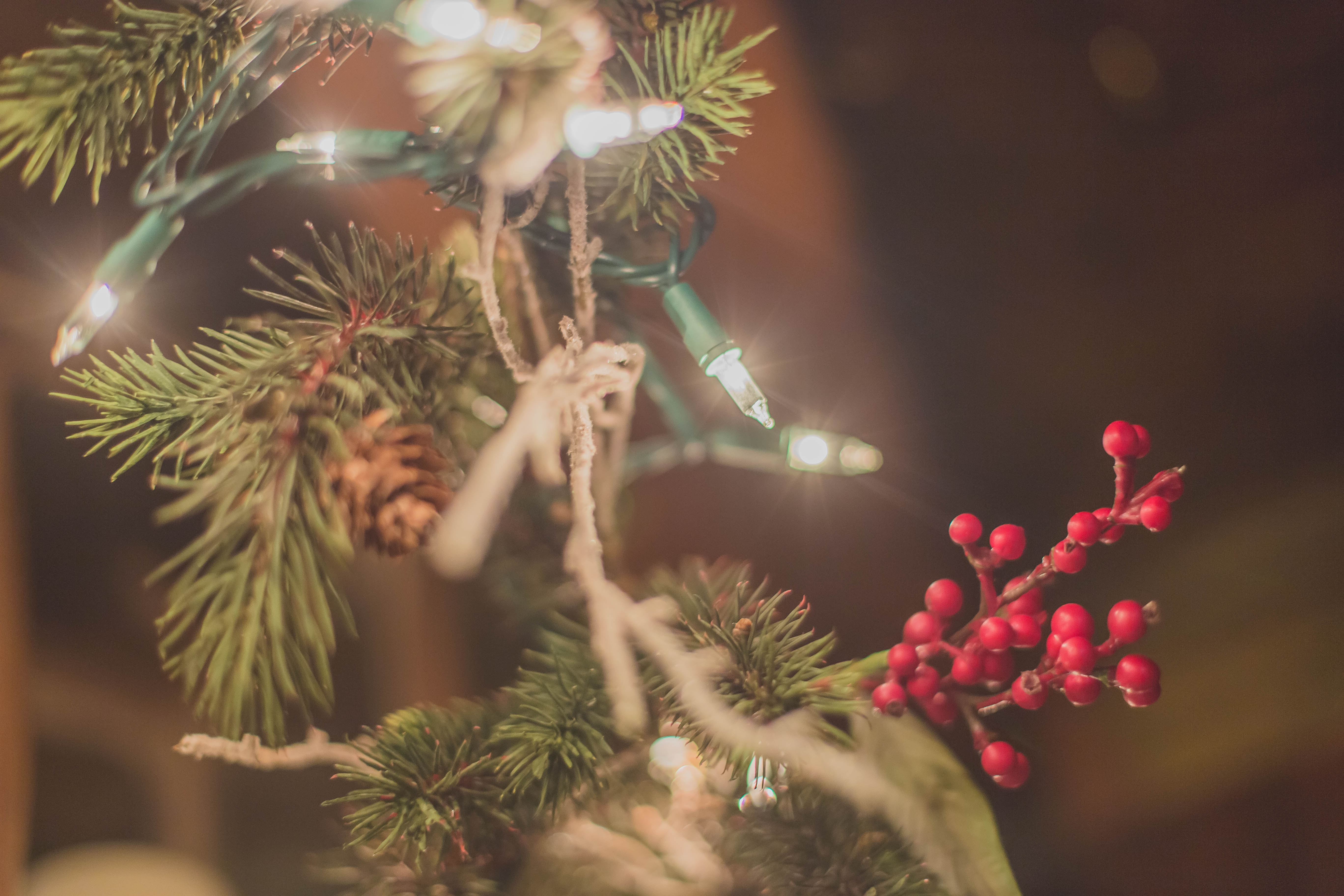 dayne-topkin-D-83TAlOr1I-unsplash