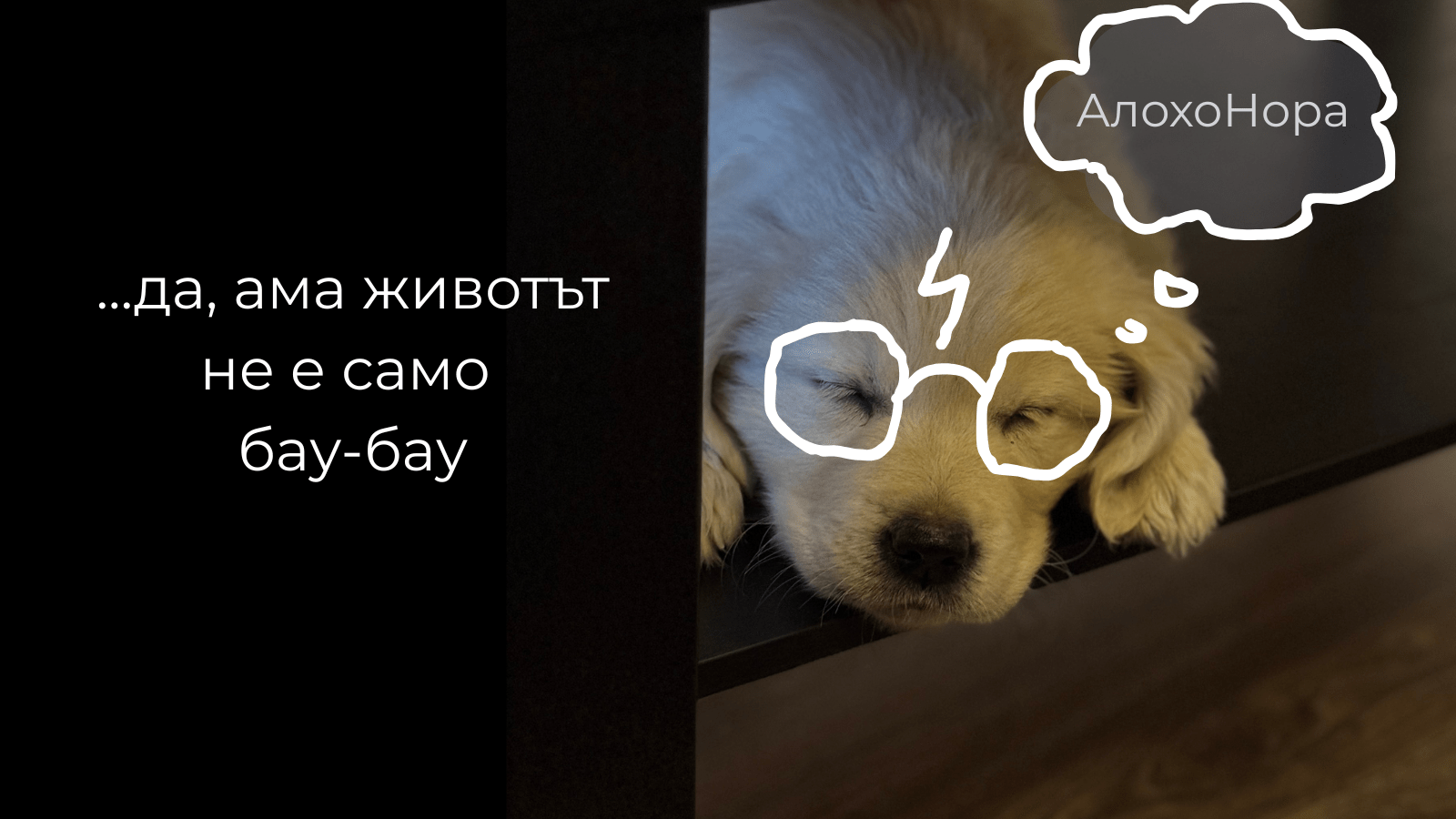 8 прости правила за оцеляване с бебе&nbsp;куче